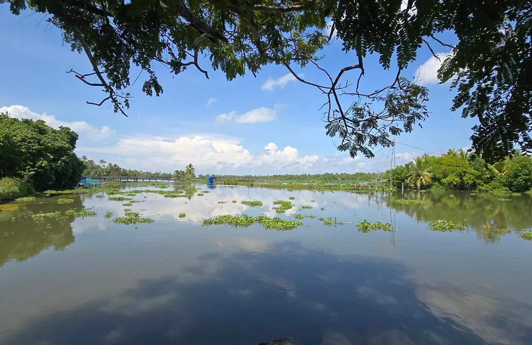 Pradeep'S Backwater Villa-1